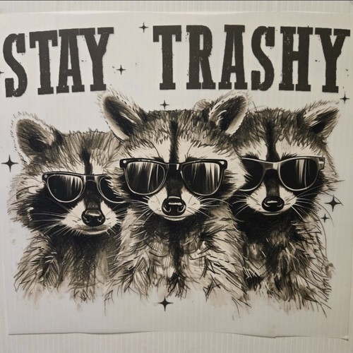 Stay trashy racoon coon - stay,